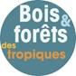 Logo Bois et Forêt des Tropiques